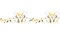 French Birds Wall Stencil Border | 1871 by Designer Stencils | Animal & Nature Stencils | Reusable Art Craft Stencils for Painting on Walls, Canvas, Wood | Reusable Plastic Paint Stencil for Home Makeover | Easy to Use & Clean Art Stencil